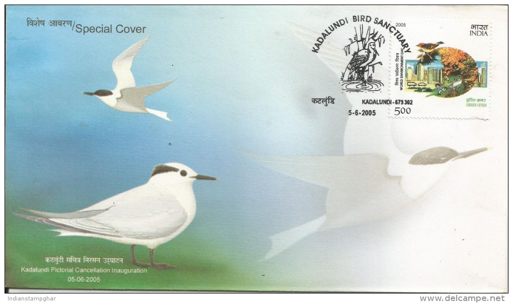 Marine Birds Sand Wich Tern Kadalundi Bird Sanctuary Special Cover 2005, Permanent Pictorial Cancellation - Flamingo