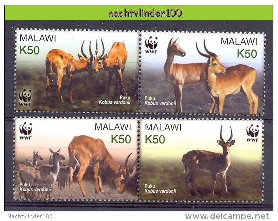 Nbx330s WWF FAUNA ZOOGDIEREN HERT DEER MAMMALS PUKU MALAWI 2003 PF/MNH - Unused Stamps