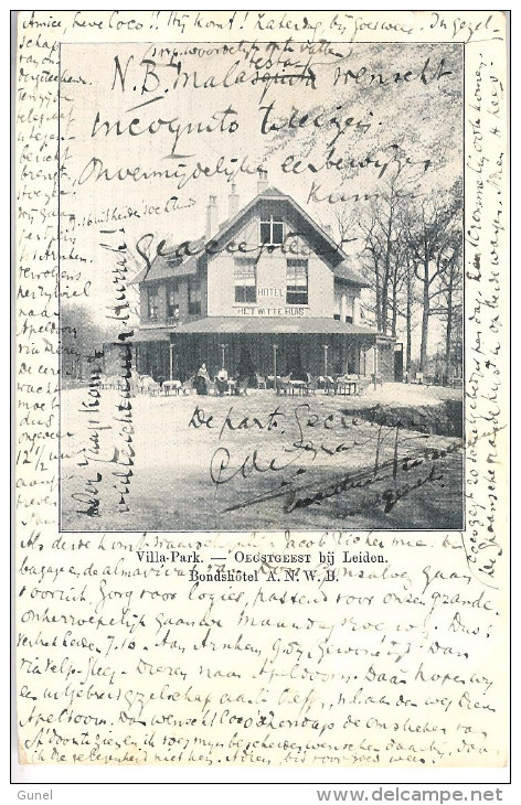 1902 Ansicht Van OEGSTGEEST Via Leiden Naar Twelloo - Brieven En Documenten