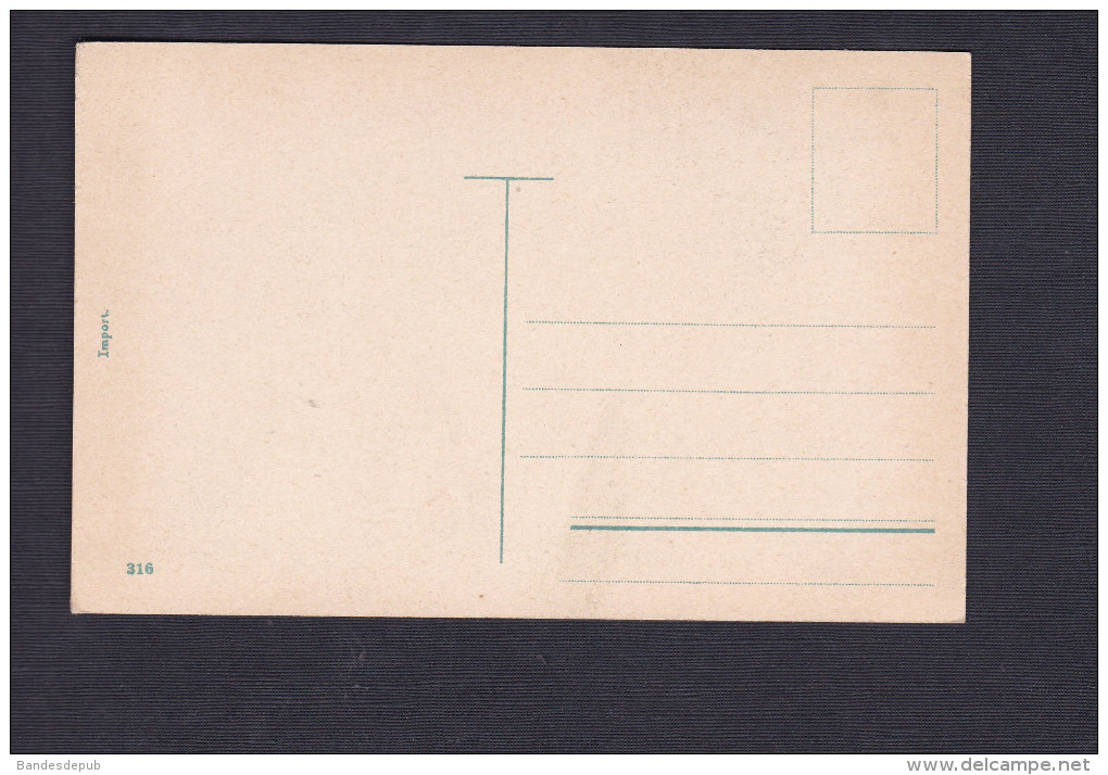 Pologne - Polen - Widok Polskie Z Placu Boju - Poln Volkstypen ( Types Polonais 316) - Pologne