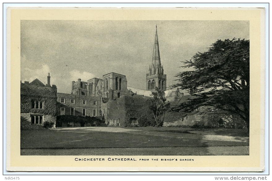 CHICHESTER CATHEDRAL FROM THE BISHOP'S GARDEN - Chichester