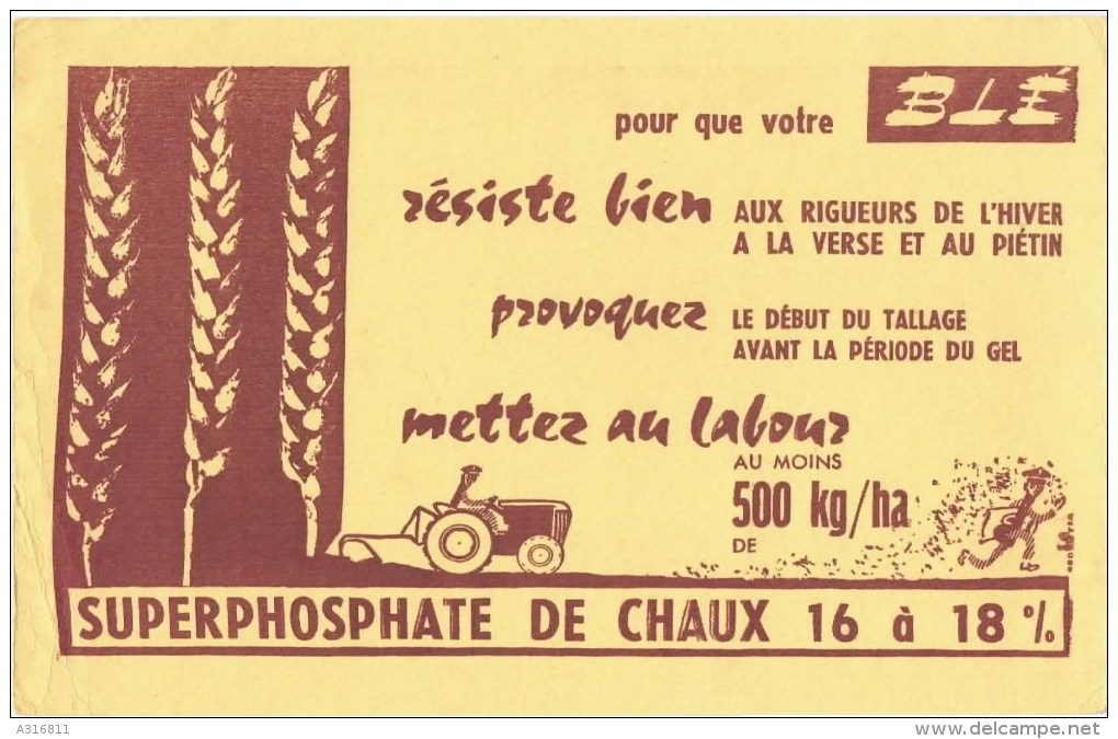 Buvards  Superphosphate De Chaux - S