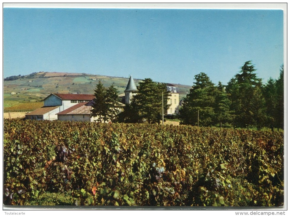 CPSM 69 JULIENAS EN BEAUJOLAIS LA COOPERATIVE ET LE CHATEAU       Grand Format 15 X 10,5 Cm - Julienas