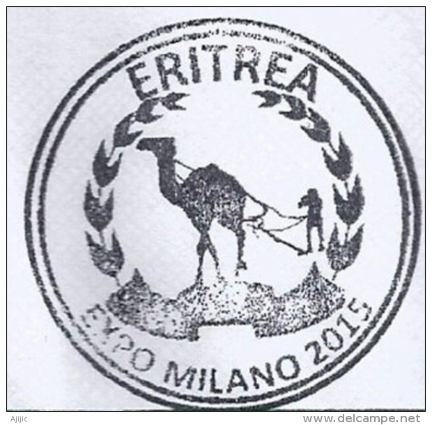ERYTHRÉE/ERITREA .EXPO MILAN 2015, LE DROMADAIRE D'Erythrée,belle Lettre Du Pavillon D'Erythrée,adressée En ANDORRE - 2015 – Milan (Italy)