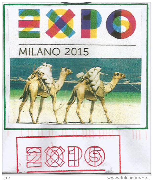 ERYTHRÉE/ERITREA .EXPO MILAN 2015, LE DROMADAIRE D'Erythrée,belle Lettre Du Pavillon D'Erythrée,adressée En ANDORRE - 2015 – Milan (Italy)