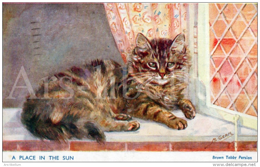 Postkaart / Post Card / Carte Postale / Cat / Chat / Brown Tabby Persian / Illust. M. Gsar / Ed. J. Salmon LTD Sevenoaks - Katten