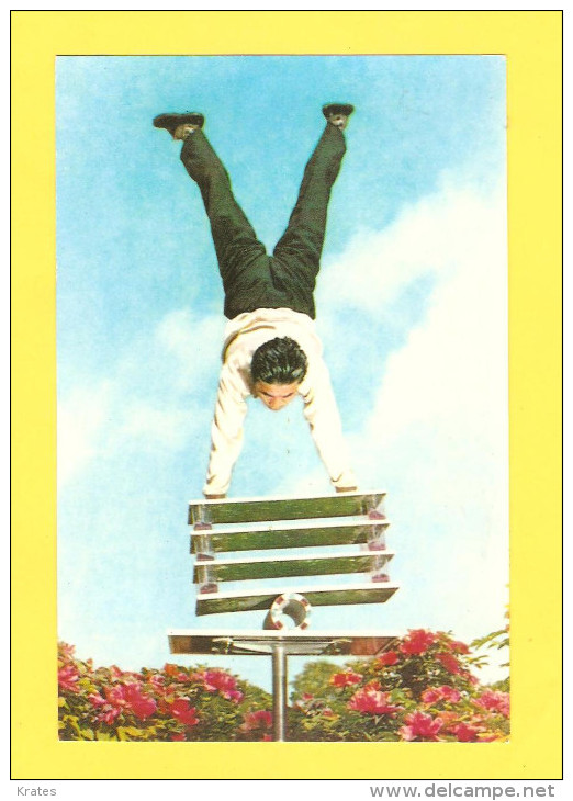 Postcard - North Korea, Circus     (V 26600) - Corée Du Nord