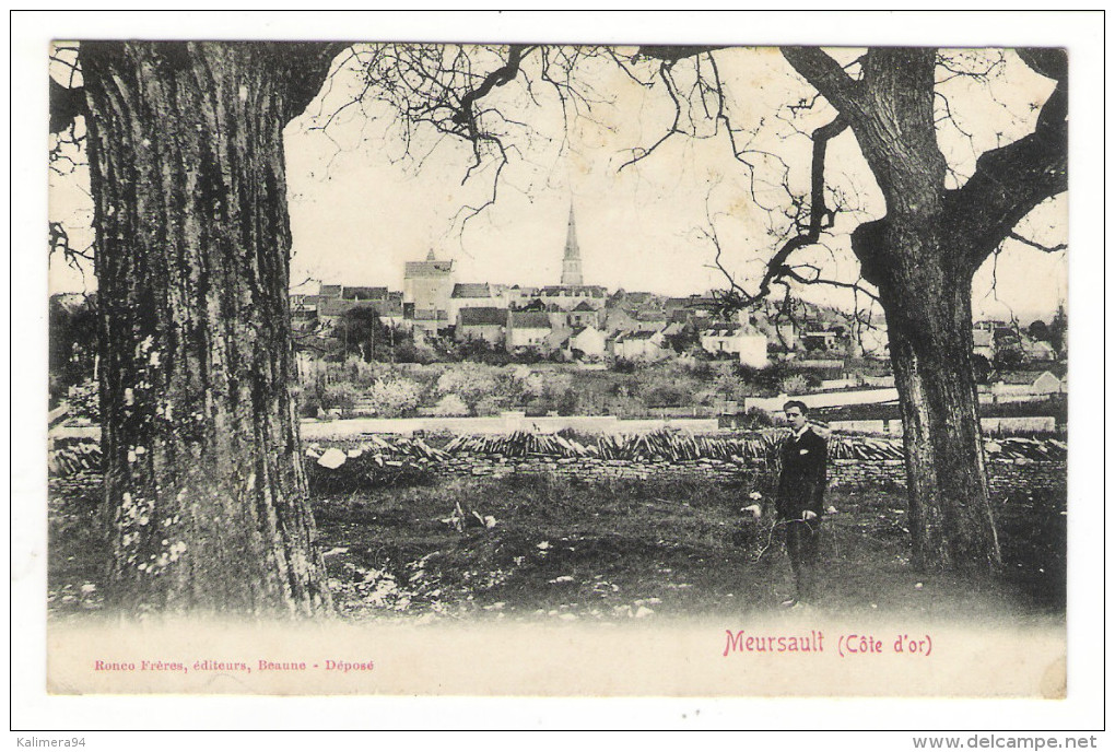 CÔTE-D' OR  /  MEURSAULT  ( Panorama ) /  Edit.  RONCO  Frères , Beaune   ( A Voyagé En 1907  :  Texte Intéressant ... ) - Meursault