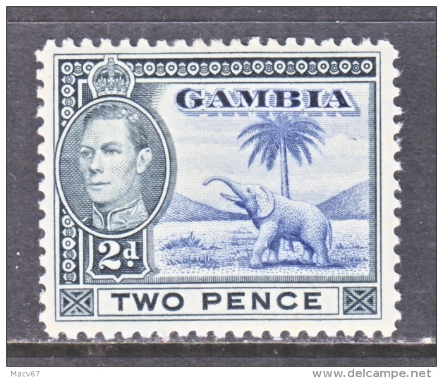GAMBIA  135   *     FAUNA  ELEPHANT - Gambia (...-1964)