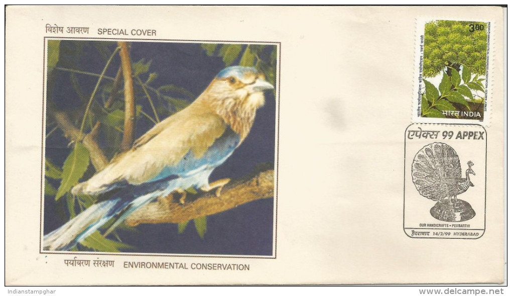 India 1994 Special Cover, Peacock In Cancellation, Bird, Wildlife,Pictorial Cancellation, Environmental Conservation - Peacocks