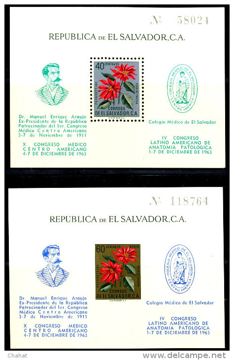 MEDICINAL PLANTS-PERF & IMPERF MS-EL SALVADOR-LIMITED EDITION-MNH-M-30 - Plantas Medicinales