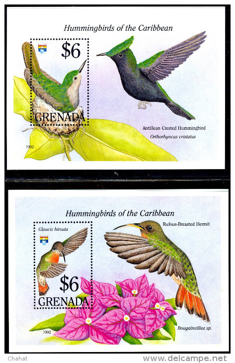 BIRDS-HUMMINGBIRDS OF THE CARIBBEAN-GRENADA-2 DIFF MS-MNH-M-34 - Colibris