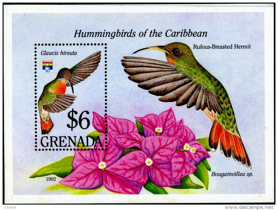 BIRDS-HUMMINGBIRDS OF THE CARIBBEAN-GRENADA-2 DIFF MS-MNH-M-34 - Colibris