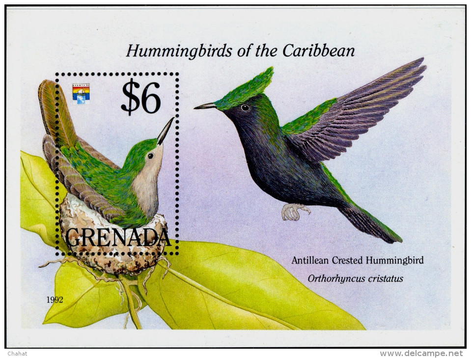 BIRDS-HUMMINGBIRDS OF THE CARIBBEAN-GRENADA-2 DIFF MS-MNH-M-34 - Colibris