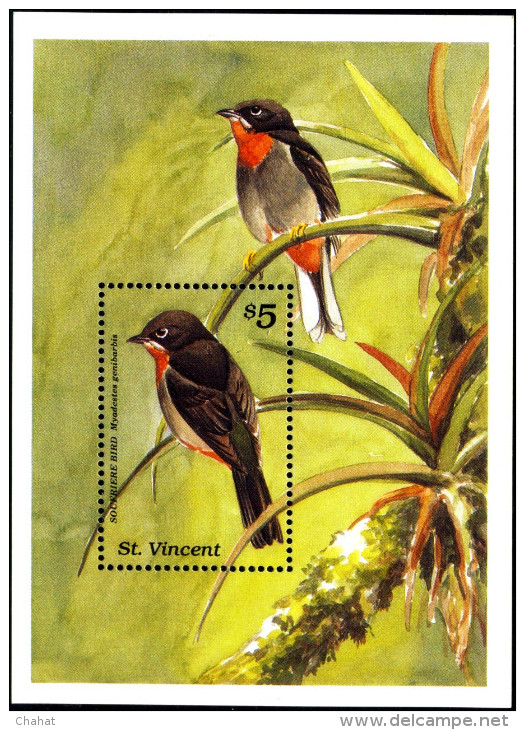 BIRDS-SOUFRIERE BIRD-St VINCENT-MS-MNH-M-33 - Piciformes (pájaros Carpinteros)