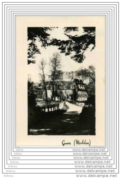 CPSM GOURIN - Le Château De Tronjoly Et Le Sous-bois - Gourin