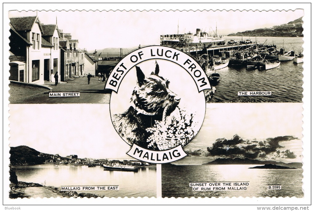 RB 1065 - Scottie Dog Multiview Postcard - Harbour Main Street &amp; Post Office Mallaig - Inverness-shire Scotland - Inverness-shire