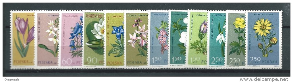 Pologne(état: Xx) N°  1185/96  Pour La Protection Des Plantes - Autres & Non Classés