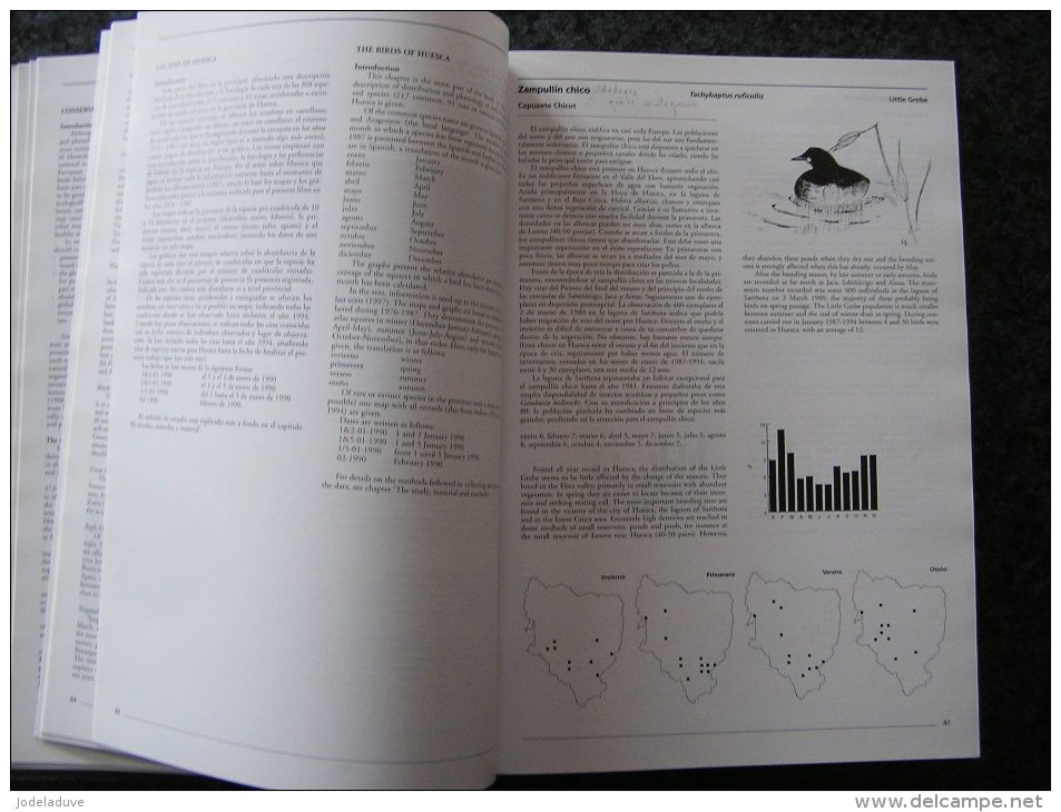 ATLAS OF THE BIRDS OF HUESCA Spanish Pyrénées Espagne Spain Espana Oiseau Bird Aves Ornithologie Ornithologue