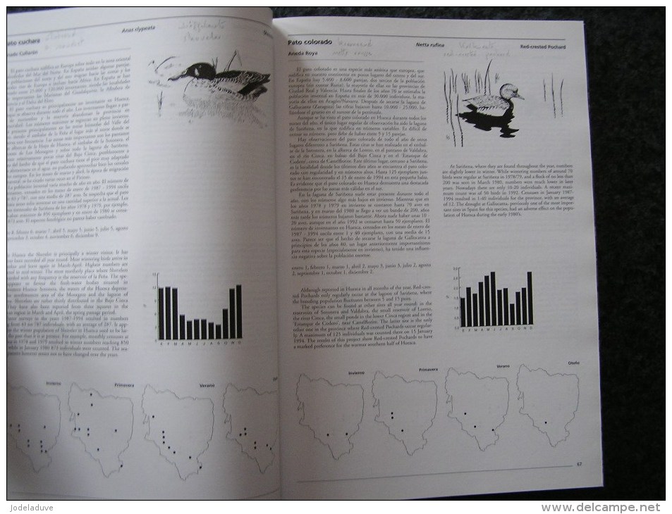 ATLAS OF THE BIRDS OF HUESCA Spanish Pyrénées Espagne Spain Espana Oiseau Bird Aves Ornithologie Ornithologue