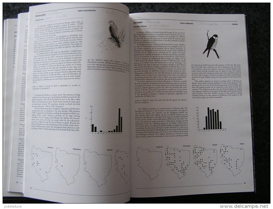 ATLAS OF THE BIRDS OF HUESCA Spanish Pyrénées Espagne Spain Espana Oiseau Bird Aves Ornithologie Ornithologue