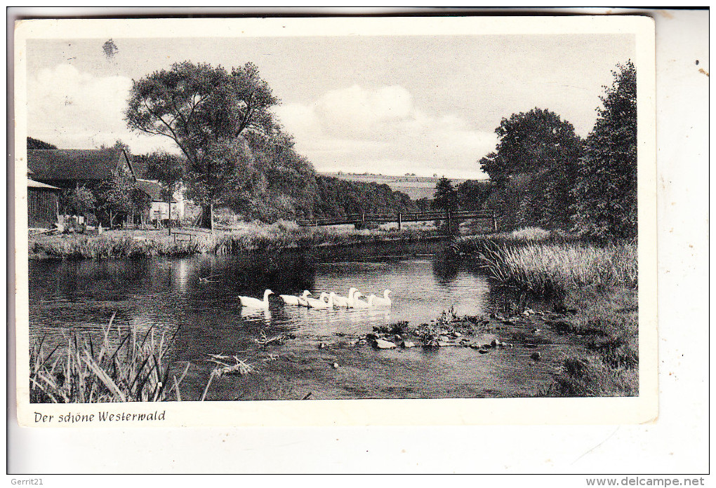 5419 DIERDORF - ISENBURG, Hotel Wiedscher Hof, Rücks. Rauhe Stelle - Dierdorf