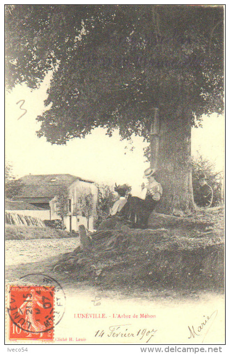 1907  Lunéville " L'Arbre De Méhon " - Luneville