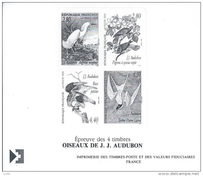 Tests To Black Four Stamps Of Birds. White Heron.Tern.Bigeye Buzzard.Vier Tests,um Schwarze Stempel Der Vögel.Weißer.2sc - Albatros & Stormvogels