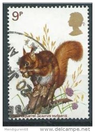 GB 1977 Wildlife: Eurasian Red Squirrel  9p.  SG 1041 SC 818 MI 747 YV 833 - Usati