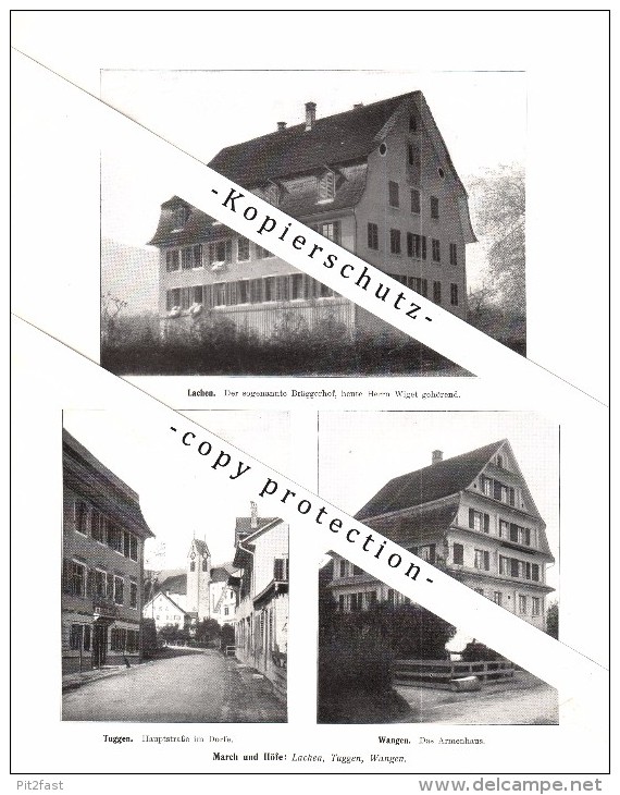 Photographien / Ansichten , 1914 , Galgenen , Pfäffikon , Lachen , Tuggen , Wangen , Prospekt , Architektur , Fotos !!! - Lachen
