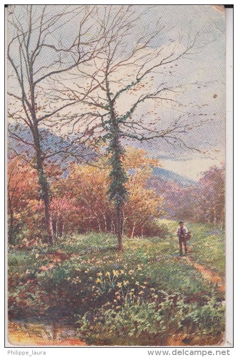 Tuck Postcard  Pitoresque Devon - Tuck, Raphael