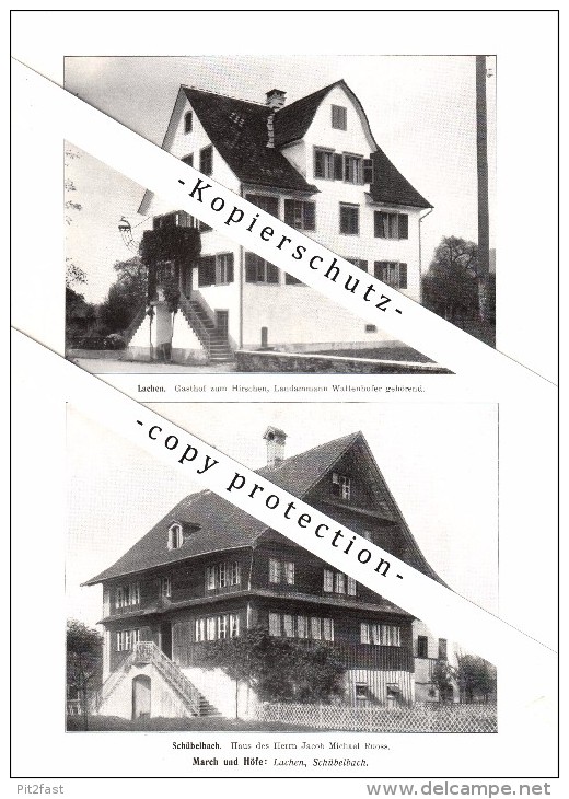 Photographien / Ansichten , 1914 , Lachen , Schübelbach , Siebnen , Prospekt , Architektur , Fotos !!! - Lachen