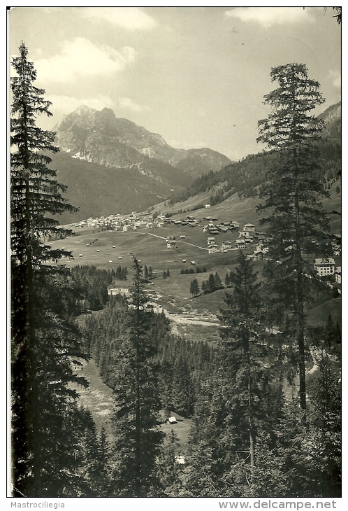 SAPPADA  BELLUNO  Panorama Verso La Terza Piccola - Belluno