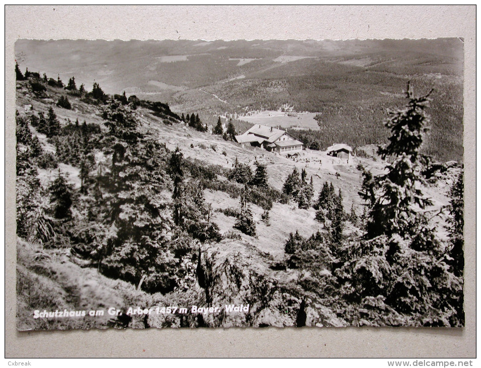 Schutzhaus Am Gr. Arber 1457 M Bayer. Wald - Regen