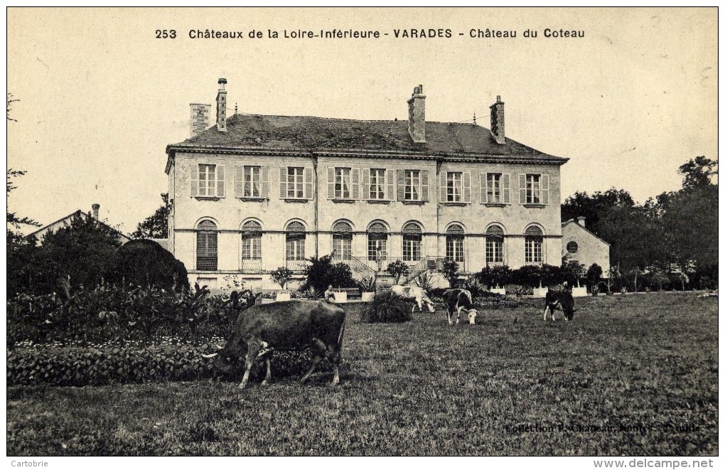 44 - VARADES - Château Du Coteau - Animée, Vaches - Varades