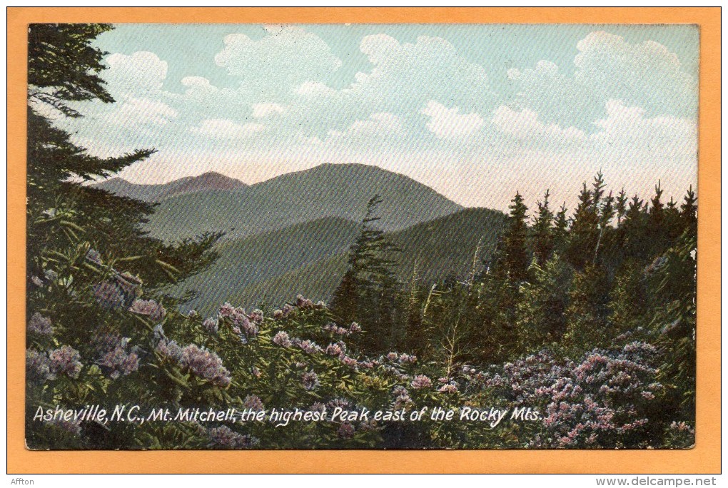 Asheville NC 1907 Postcard - Asheville