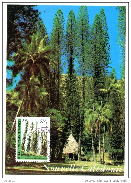 Nouvelle-Calédonie - PJ Yvert PA 238 - Flore Calédonienne - R 1881 - Maximumkaarten