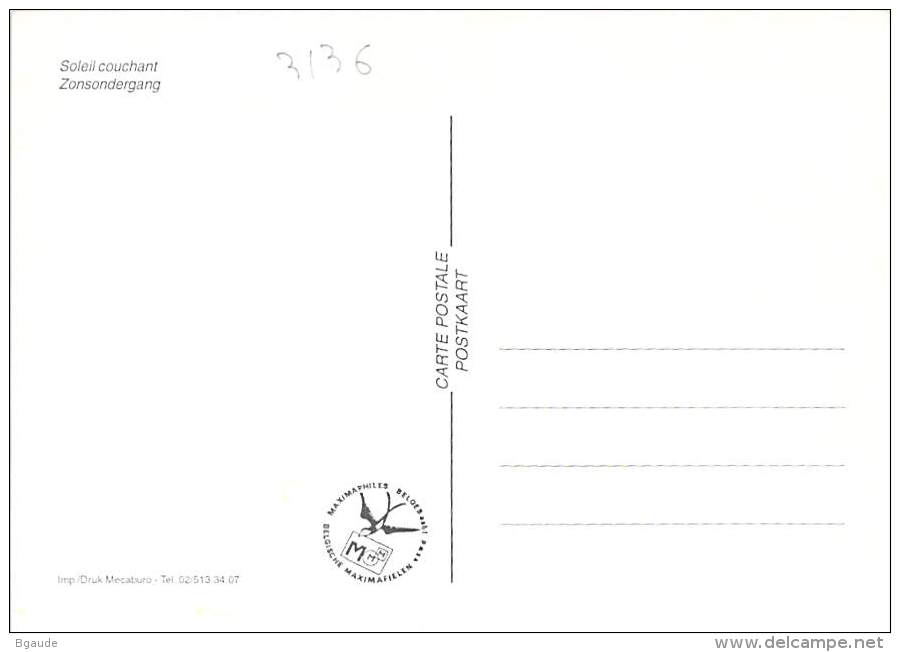 BELGIQUE CARTE MAXIMUM   NUM.YVERT  3136 DEUIL - 2001-2010