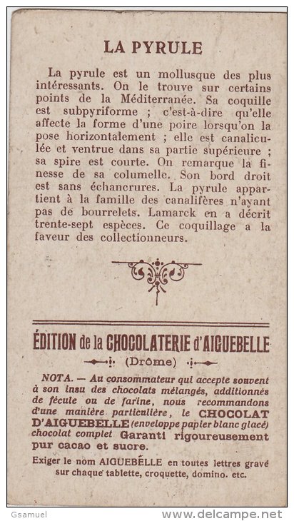 Chromo - Edition De La Chocolaterie D'Aiguebelle (Drôme). - Les Coquillages - La Pyrule. - Aiguebelle