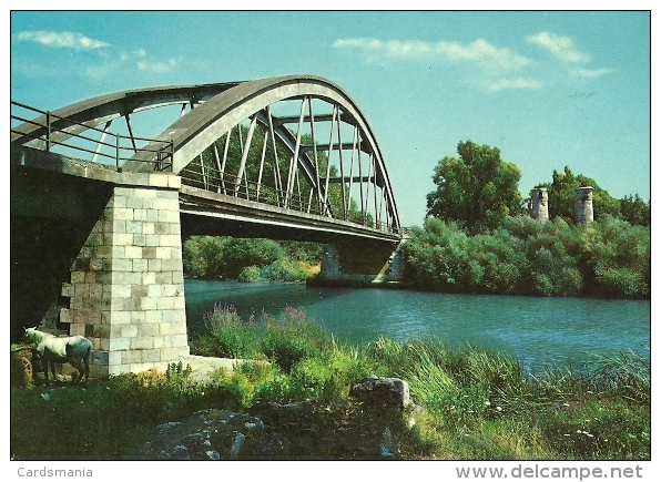 Marina Di Minturno(Latina)-Ponte Sul Garigliano - Latina