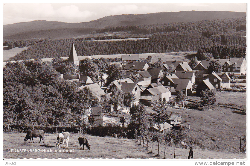 AK Neuastenberg - Hochsauerland - 1968 (19790) - Winterberg