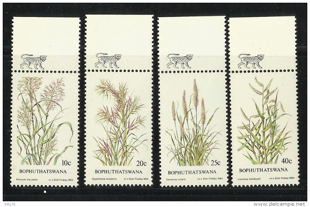 BOPHUTHATSWANA  1984  INDIGENOUS GRASSES  SET  MNH - Andere & Zonder Classificatie