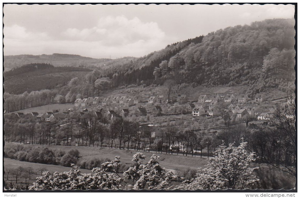 D-58769 Nachrodt - Einsal - Sauerland - Panorama - Arnsberg