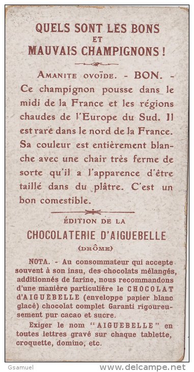 Chromo - Edition De La Chocolaterie D'Aiguebelle (Drôme). -  Quels Sont Les Bons Et Mauvais Champignons !. - Aiguebelle