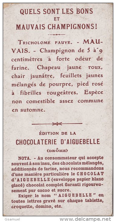 Chromo - Edition De La Chocolaterie D'Aiguebelle (Drôme). -  Quels Sont Les Bons Et Mauvais Champignons !. - Aiguebelle