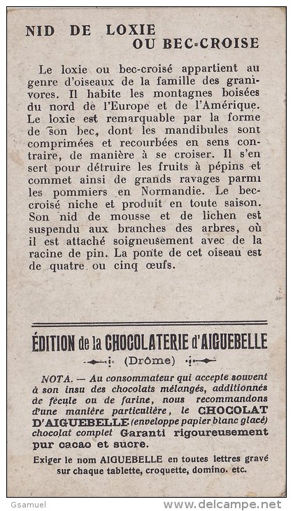 Chromo - Edition De La Chocolaterie D'Aiguebelle (Drôme). -  Nid De Loxie Ou Bec-Croise. Voir Scan. - Albumes & Catálogos