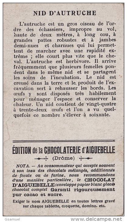 Chromo - Edition De La Chocolaterie D'Aiguebelle (Drôme). -  Nid D'Autruche. - Albums & Katalogus