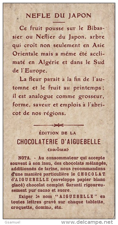 Chromo - Edition De La Chocolaterie D'Aiguebelle (Drôme). -  Bibassier Ou Néfle Du Japon. - Albums & Katalogus