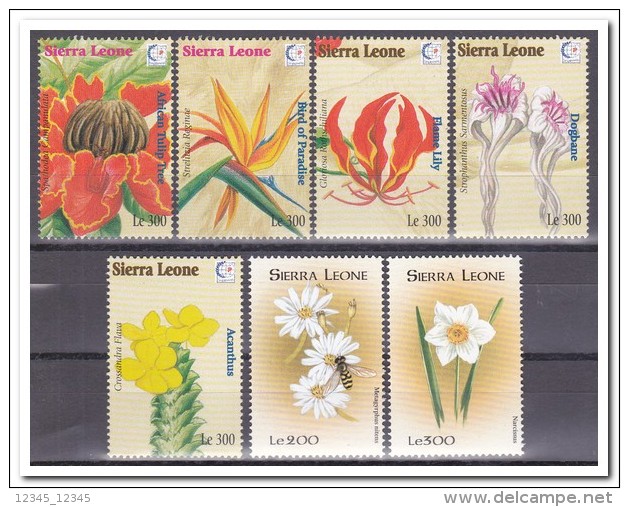 Sierra Leone 1995, Postfris MNH, Flowers - Sierra Leone (1961-...)