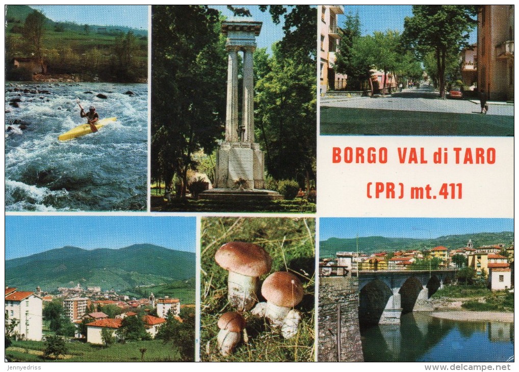 BORGO  VAL  DI  TARO - Parma